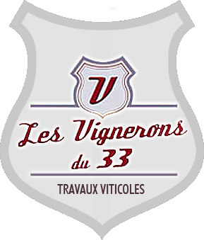 travaux viticoles en gironde